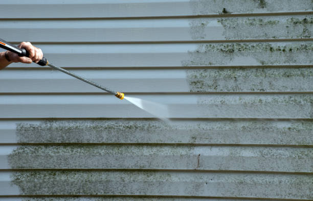 Deck Cleaning Services in Noblesville, IN
