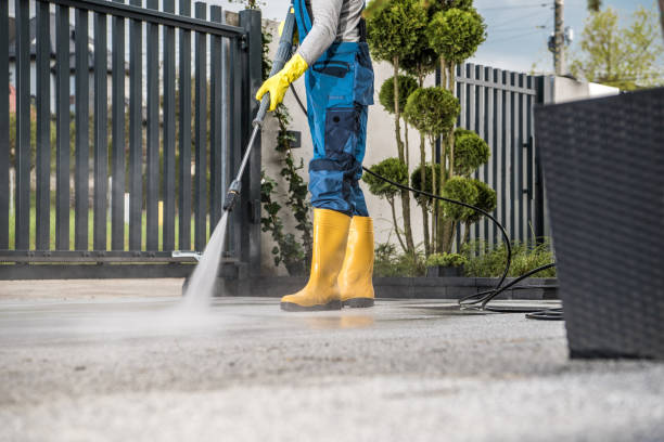 Best Sidewalk Pressure Washing  in Noblesville, IN
